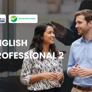 ENGLISH PROFESSIONAL 2